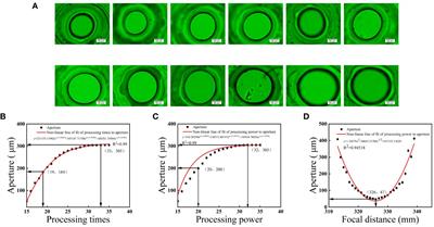 Improving the storage quality and suppressing off-flavor generation of winter jujube by precise micro-perforated MAP